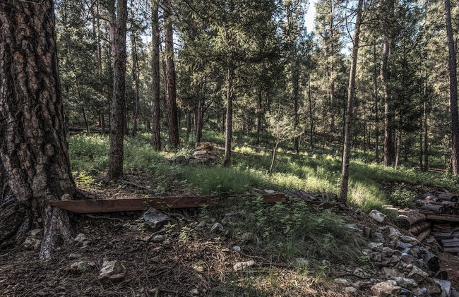 Rock'inn Pines by Ruidoso Vacation Rentals - Photo 29