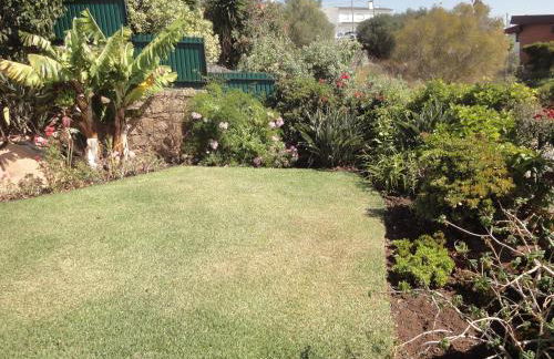 Orchidea Terrace - Foto 20