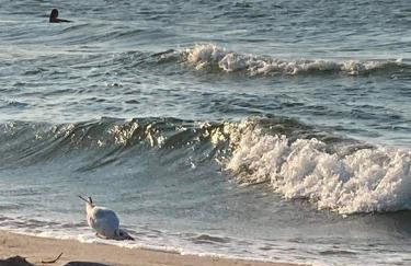 "Lawendowe Wzgórze" - Foto 48