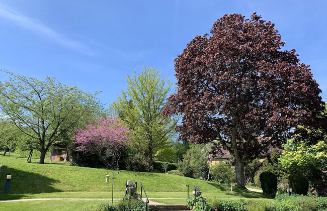 Little Norton Mill - Photo 34