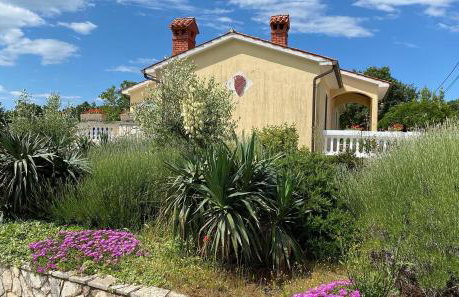 Villa Yucca Istra - Foto 24