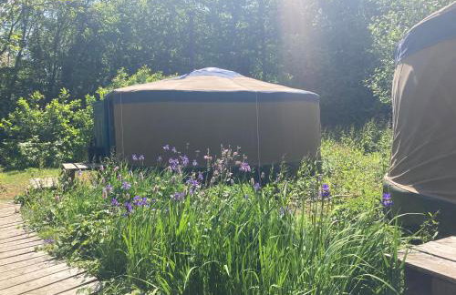 Barefoot Yurts - Photo 9