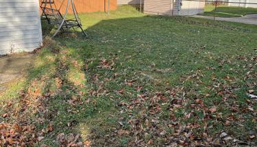 Charming & Spacious 3 bedroom Home near Downtown Ferndale, MI - Foto 3, Garden, Garden view