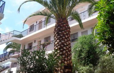 APARTAMENTO HECO - Foto 36