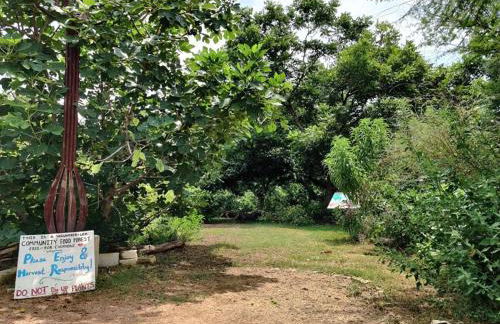East Austin Bungalow w BBQ Firepit Fun Yard - Foto 25