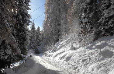 Agriturismo Chalet Fogajard - Foto 63