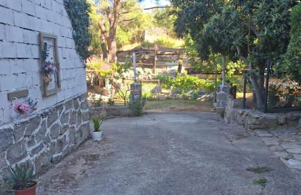 Finca 13 Ramas - Photo 21