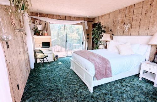 4 Elements House:Central, Views-Every Rm, AC, Pets - Foto 9