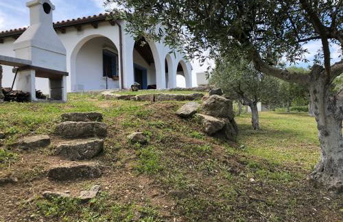 La casa nell'oliveto - Foto 7