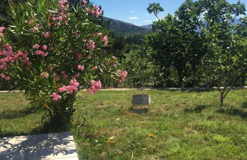 Apartments Juranic I - Photo 30