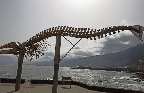 Wagner - Beach - Appartement - Foto 7