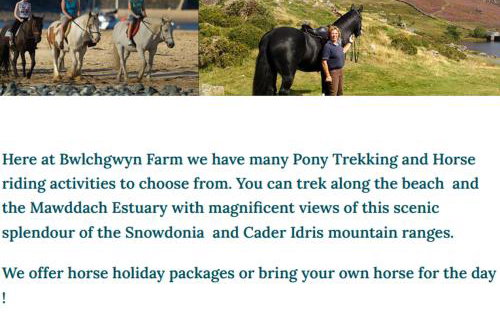 Cabin Cynthia - Foto 40