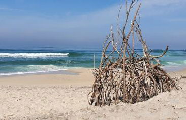 The Palm House - Foto 34