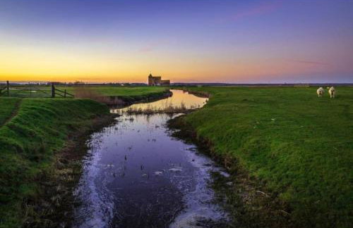 Rainbow Petty - Romney Marsh, Kent - Photo 17