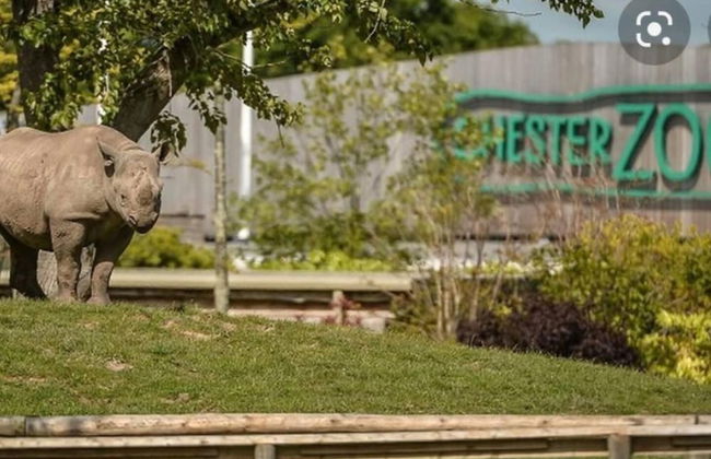 Remarkable 1-bed Cottage in Chester - Foto 16