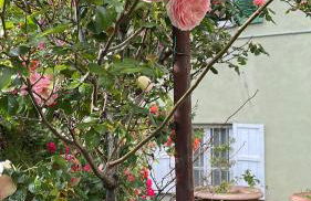 Villa Ponzio - Photo 37