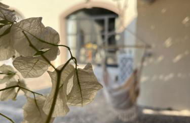 La Bouganville - Foto 74