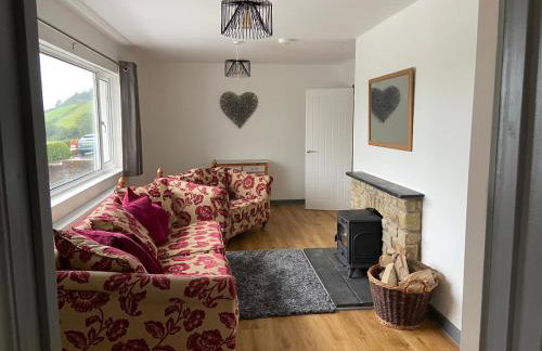 4 bedroom bungalow in peaceful countryside with log burner - Talar Deg, Capel Madog - Foto 2