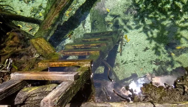 Riserva della Biosfera di los Petenes