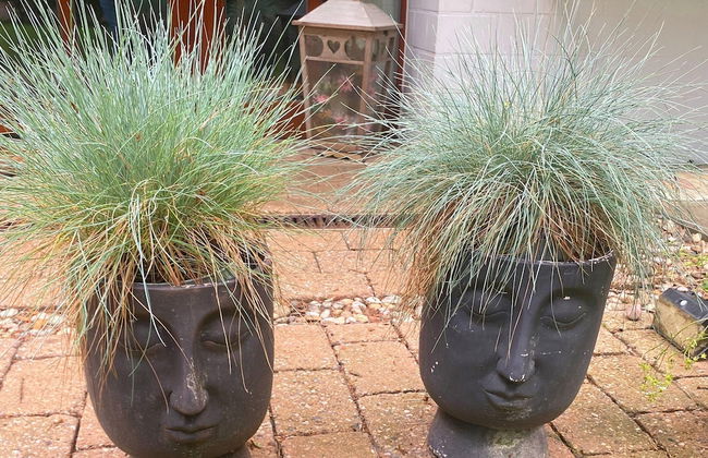 Holiday Home in Uelsen Near Bronzezeithof - Foto 24