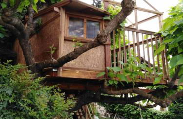 Six Steps From The Forest - Photo 69