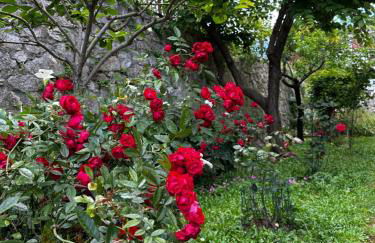 2-bedroom apartment ILLARIO - heart of Tuscany - airco & free parking - Foto 42