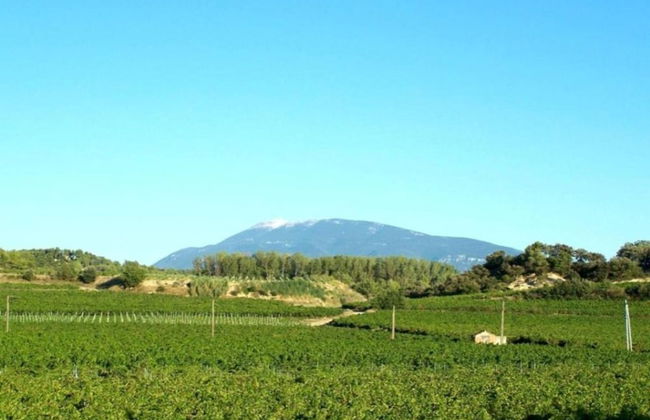 Holiday Home Vaison With Private Pool - Photo 35