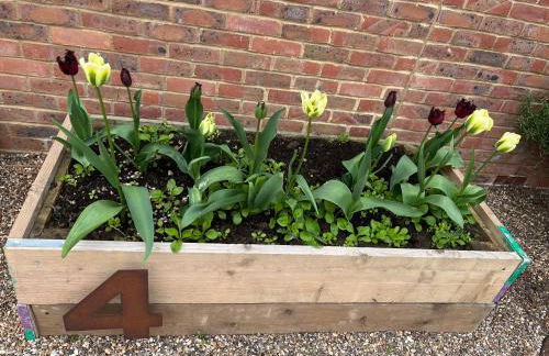 Whitstable The Jolly - Foto 41