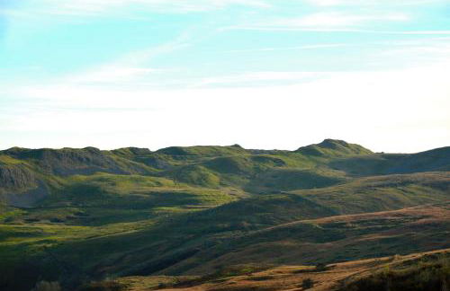 Snug Oak Hut with a view on a Welsh Hill Farm - Photo 26