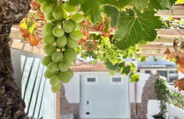 La Casita de la Parra, El Hierro - Foto 1