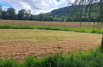 Cobblehouse Country Cabins no TRADE WORKERS - Foto 60