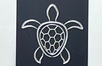 Lake Hartwell- Glamping - Turtle Cove - Foto 7