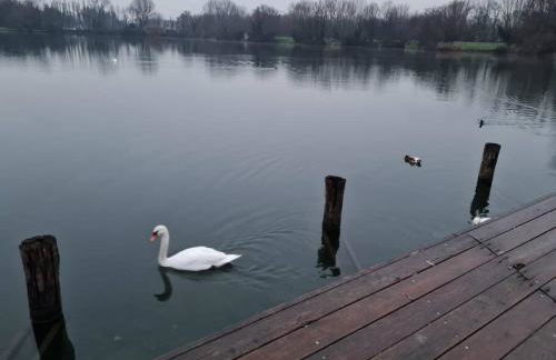 Casa Prospettiva Verde, tra natura e città - Foto 7
