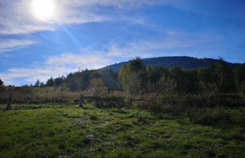 Domek Nasze Miejsce - Foto 37