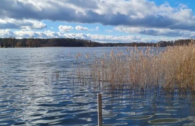 at Bauernsee Modern Retreat - Foto 6