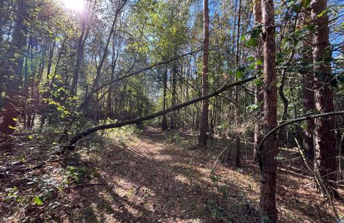 ForRest House Domki na drzewie niedaleko Suntago - Photo 21