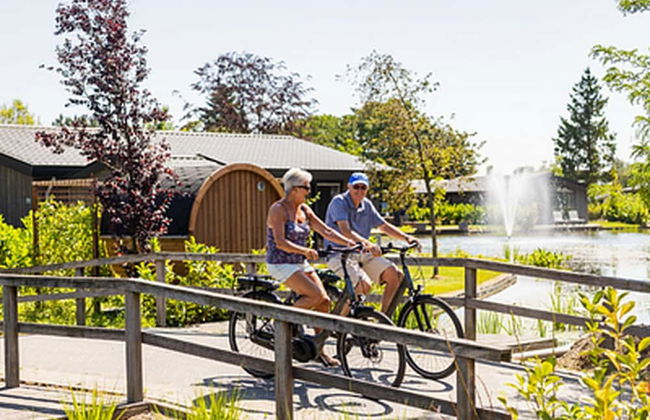 Chalet by Park Pond in the Netherlands - Foto 13