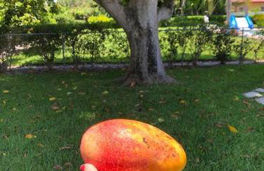 Spacious villa, pool, water views, walk to beach - Foto 21