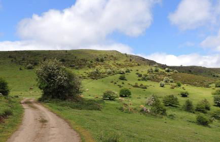 Apartamentos Rurales Balcón Real Senda del Oso - Foto 53