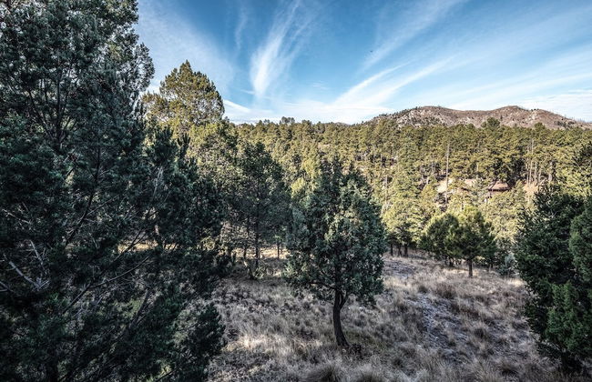 Wine N Pines - Foto 21