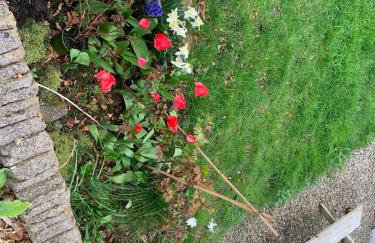 Rose Cottage - Foto 16