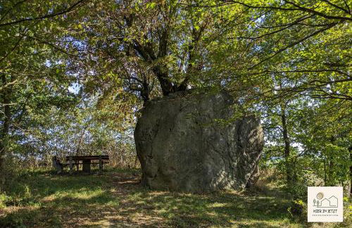 Einzigartige Ferienwohnung -hier im jetzt- - Foto 20