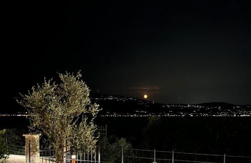 Colago Private Villas Lake Garda - Foto 35