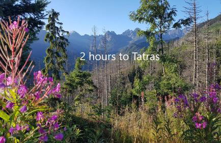 Apartament Podskalański - Foto 37