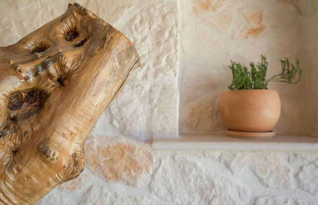 Tierra Olivo - Foto 45