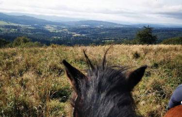 Bieszczadzka Chatka Gosia - Off Road , Quady , Jazda Konna - Foto 30