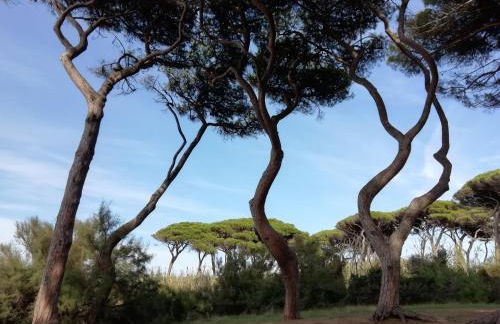 Casa Jacaranda - Foto 29