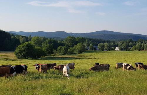 Apartment mit Wallbox by Interhome - Foto 30