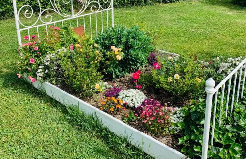 Irenes Tinyhouse - Foto 41