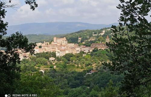 La Rose des Claux - Foto 55